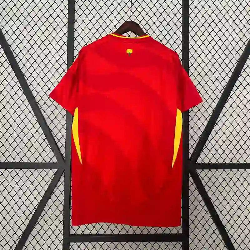 Maillot 24/25 Espagne Home